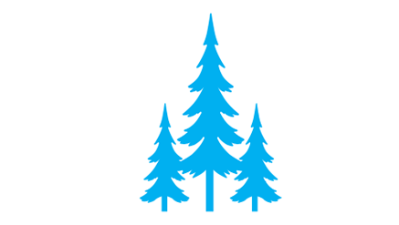timber